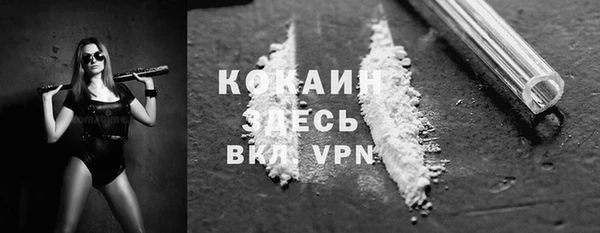 МДПВ Михайлов