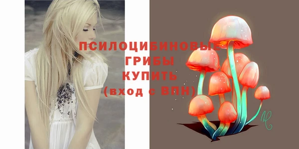 МДПВ Михайлов
