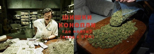 МДПВ Михайлов