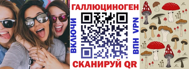 Галлюциногенные грибы Psilocybe  mega ССЫЛКА  Починок 
